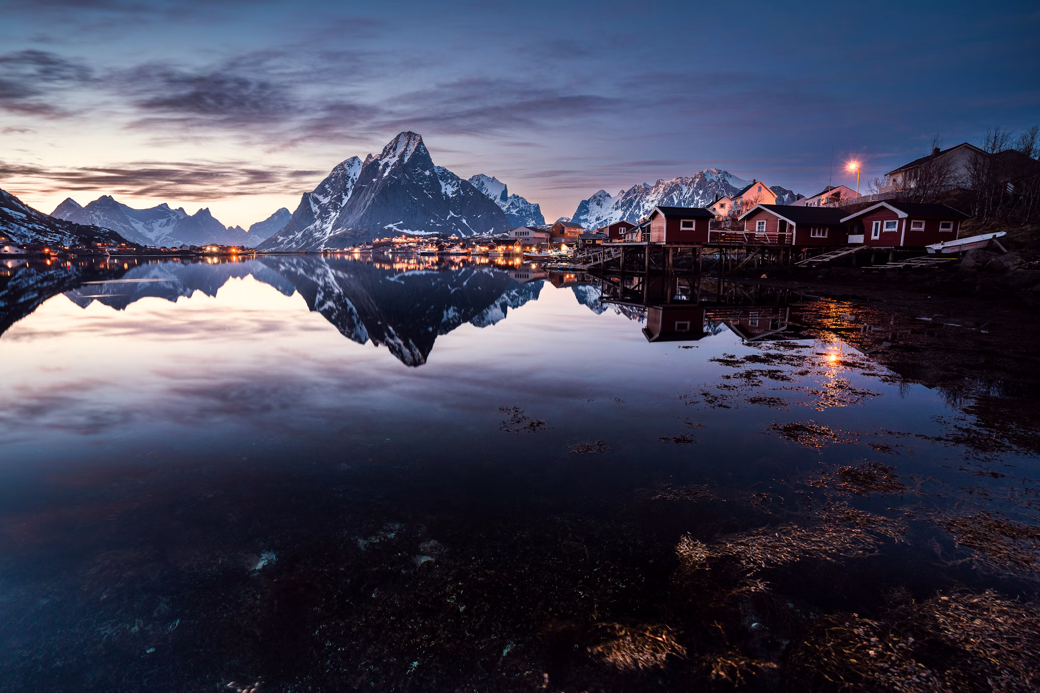 reine