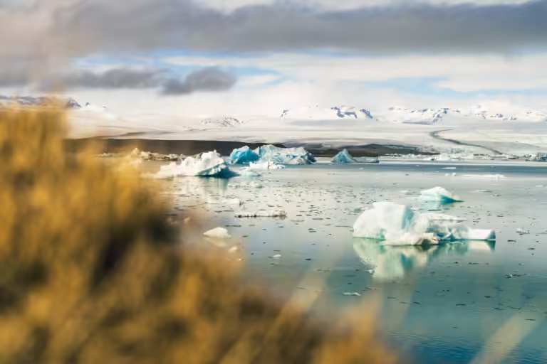 Jökulsárlón – lodowa laguna na Islandii